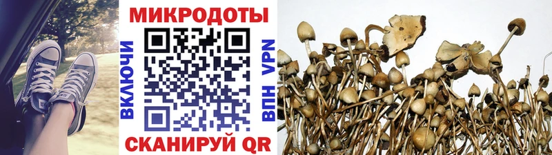 Псилоцибиновые грибы Magic Shrooms  OMG вход  Кострома 