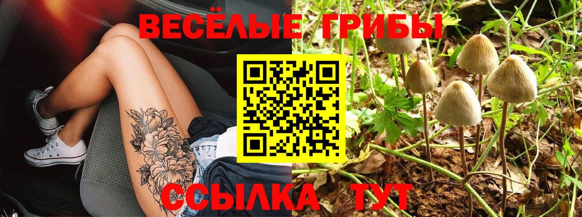 Кострома  Псилоцибиновые грибы ЛСД  цена наркотик  Вход с VPN 